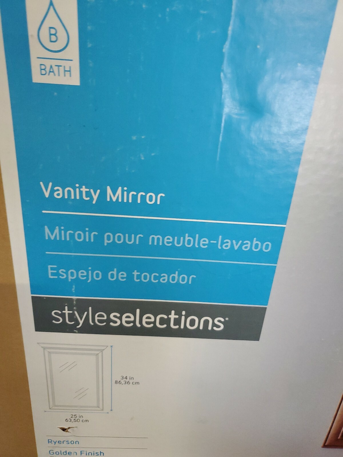 Style Selections Ryerson 25-in W x 34-in H Golden Rectangular Bathroom Mirror