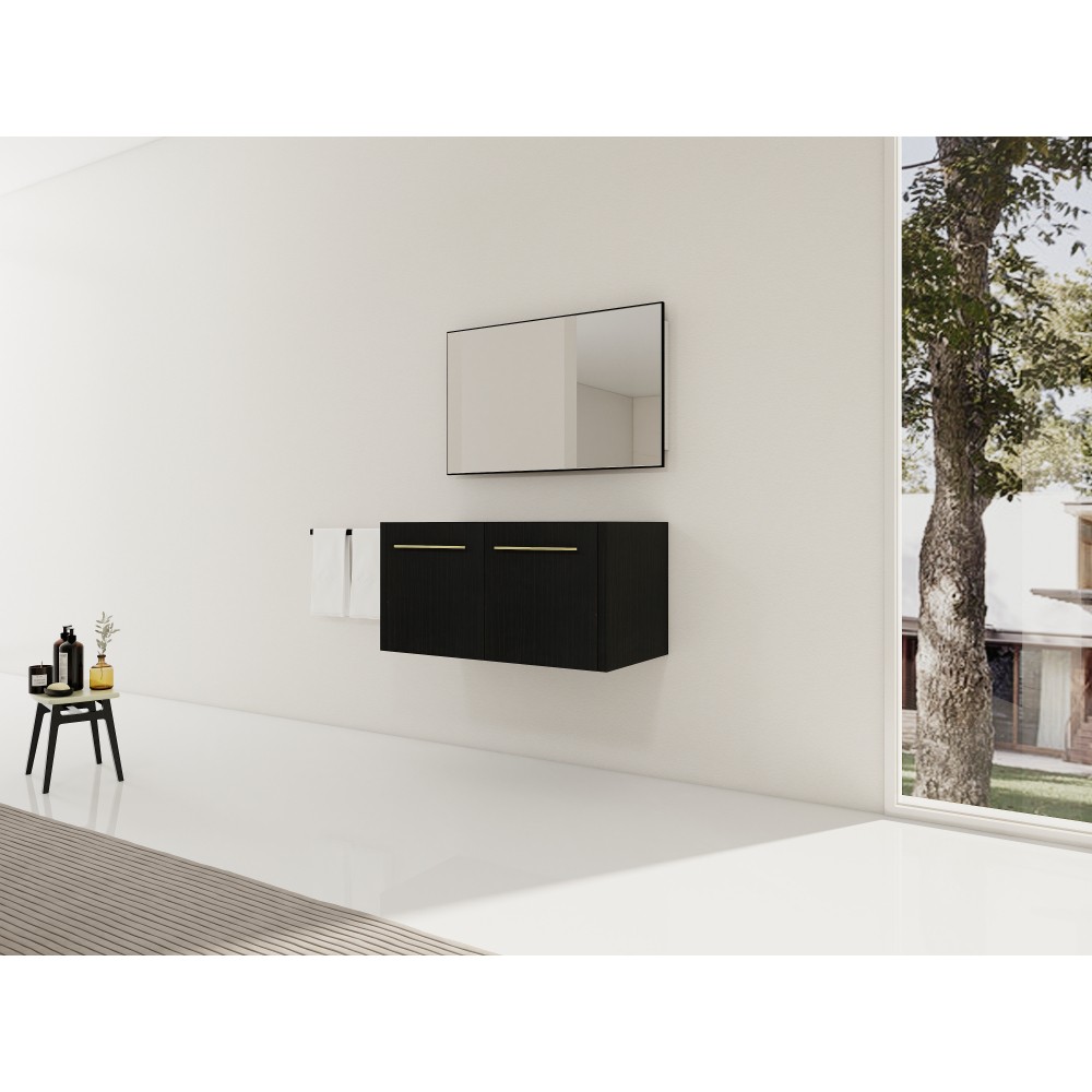 Wall-mounted bathroom cabinet without sink Soft-close doors Features two handles